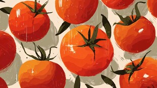 番茄阵列 清新插画风格