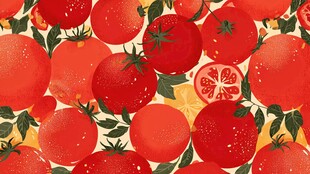 番茄柑橘图案插画背景图