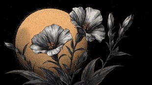 月下银花 静谧梦幻之景