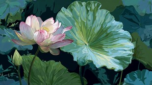 水墨风荷花与荷叶之景