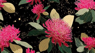 黑色背景的艳丽花卉图案