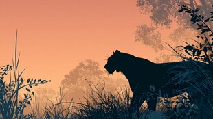 黄昏中独行的黑豹