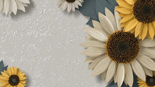 白黄向日葵背景装饰图