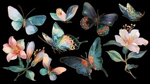 蝴蝶与花卉的梦幻插画