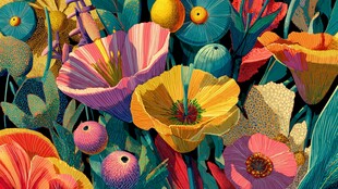 缤纷多彩的梦幻花卉世界