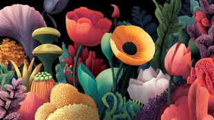 梦幻多彩植物花卉景观