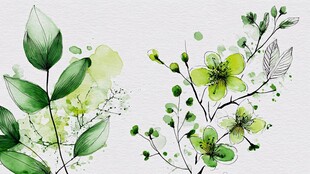 清新水彩风绿花绿叶插画