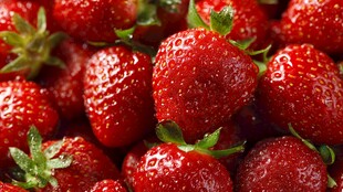 新鲜饱满的诱人草莓