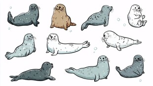 可爱海豹插画集合
