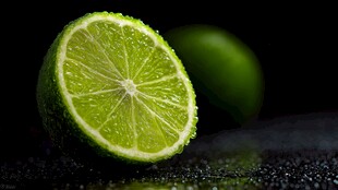 青柠切片 水珠晶莹欲滴