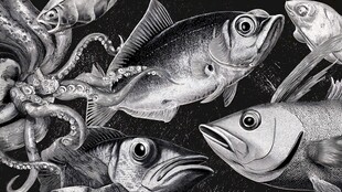 黑白海洋生物群像