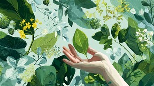 手触绿叶 拥抱自然生机