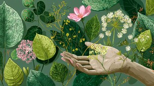 手捧繁花绿叶的自然之美