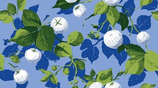 蓝底白花绿叶植物图案