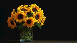 花瓶中的向日葵花束