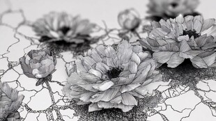 黑白花卉纹理艺术图案