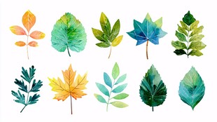 水彩风格多彩植物叶片集合