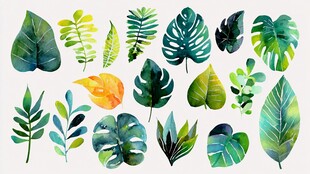 多彩水彩风热带植物叶片集