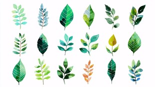 水彩风多样绿叶素材集