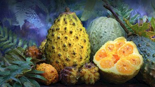 奇异水果展示 色彩缤纷诱人