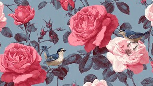 玫瑰丛中双鸟的唯美图景