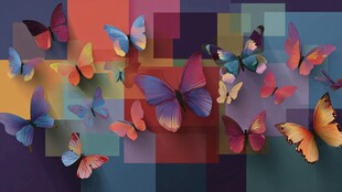 彩色方块上的缤纷蝴蝶