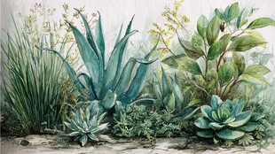 水彩绘就的多样绿植景观