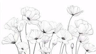 黑白线条绘就的优雅花朵