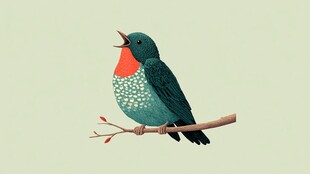 枝头欢唱的多彩小鸟