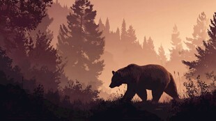 黄昏森林中的独行熊