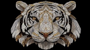 银纹虎首图腾 神秘而精美