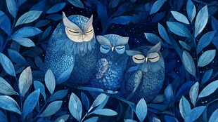 蓝夜中的温馨猫头鹰一家
