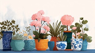 多彩花盆中的缤纷花卉