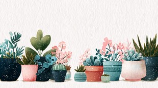 可爱盆栽组合 清新植物风