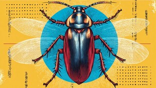 复古风甲虫插画艺术作品