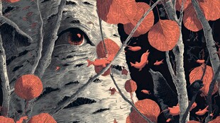 树洞中的神秘红眼景象