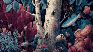 奇幻森林中的神秘树木景观