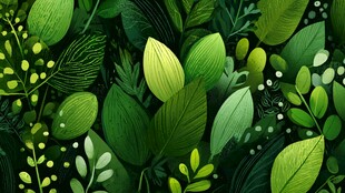清新绿叶植物插画背景