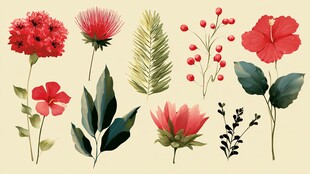 水彩风花卉植物插画集