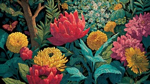 繁花盛放的梦幻植物世界