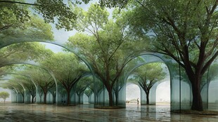 梦幻森林拱廊景观