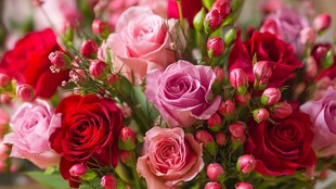 多彩玫瑰花束特写