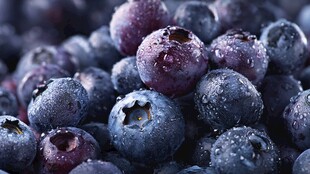 新鲜饱满的蓝莓果实