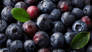 饱满多汁的新鲜蓝莓