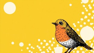 黄色背景上的彩色小鸟