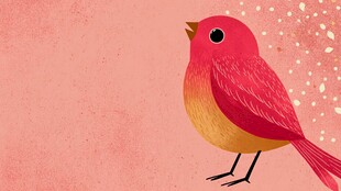 粉色背景上的可爱红小鸟