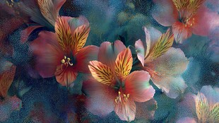 梦幻绚烂的多彩花卉世界