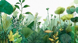 清新繁茂的绿植景观