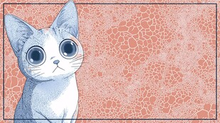 可爱猫咪插画 橙色背景