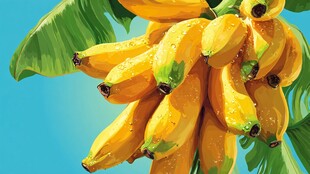 鲜艳欲滴的成熟香蕉串